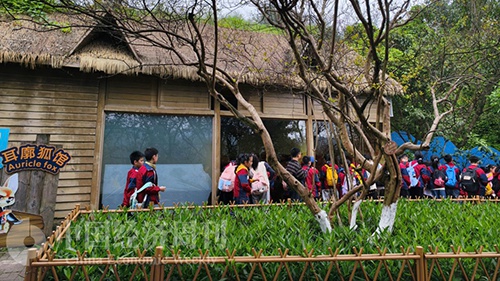 这个春天，我们为“体验”买单