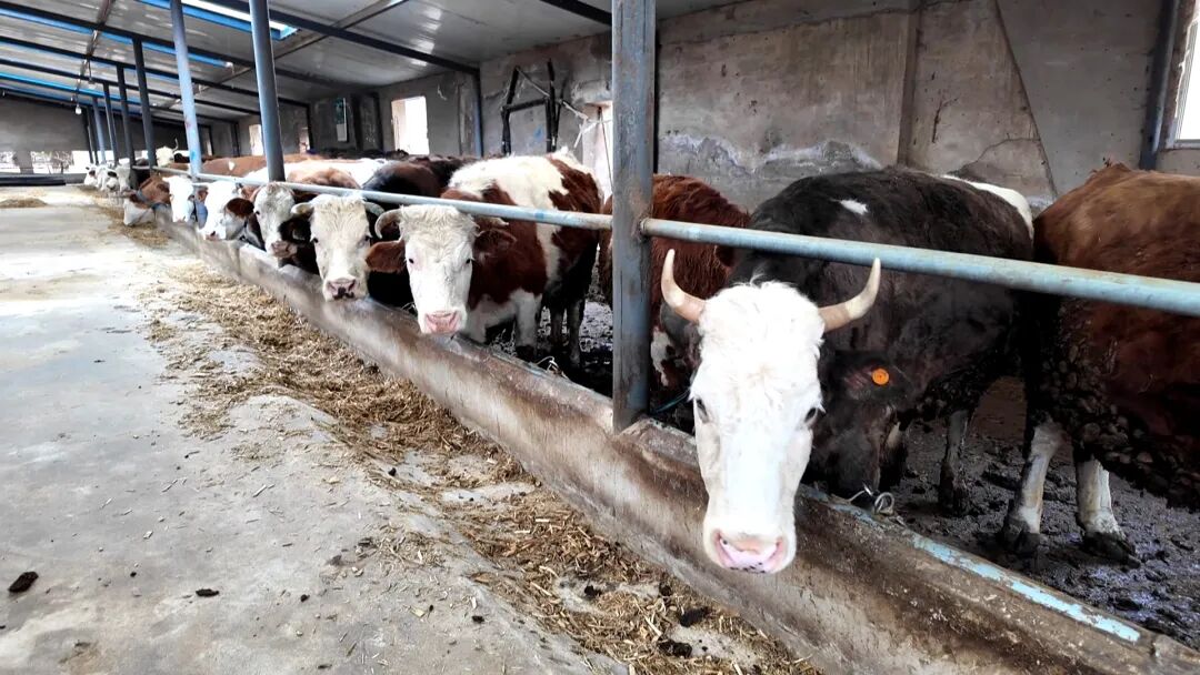 1775204486442334.jpg 照片2.jpg