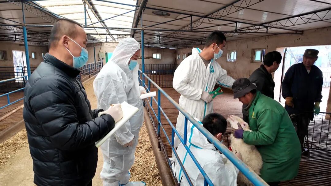 1775204551114512.jpg 照片3.jpg