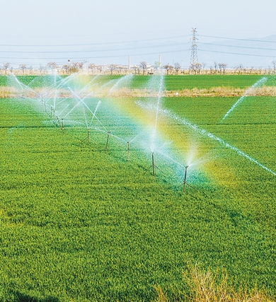 1775264621110357.png 11.png