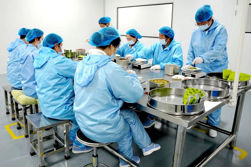 1775549160963678.jpg 汉中市留坝县陕西秦脉百草生物科技有限公司的代用茶生产车间,正在生产代茶饮。(王茜 摄).jpg