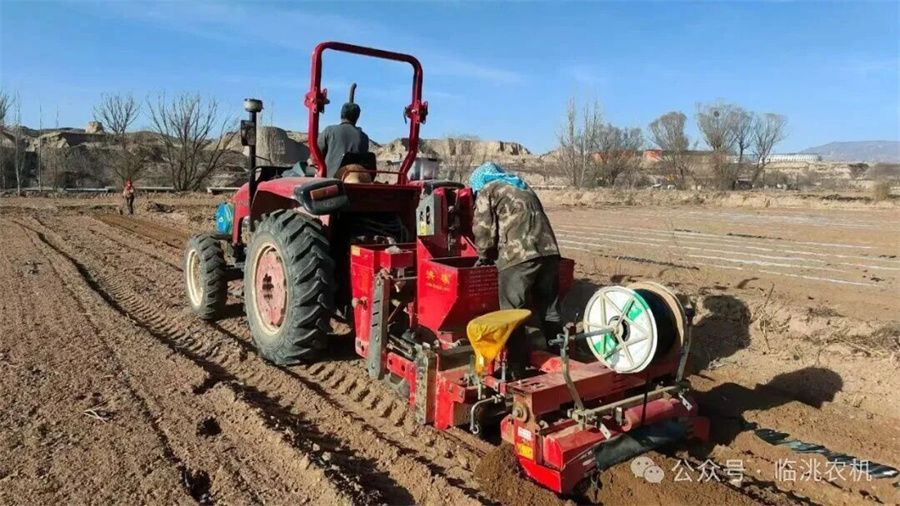 1775634163614781.jpg 照片2.jpg