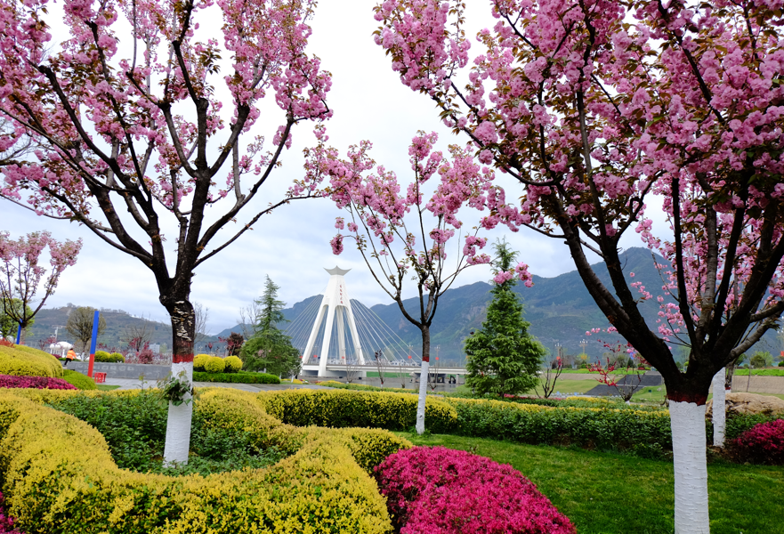 1775716228193059.png 11.png