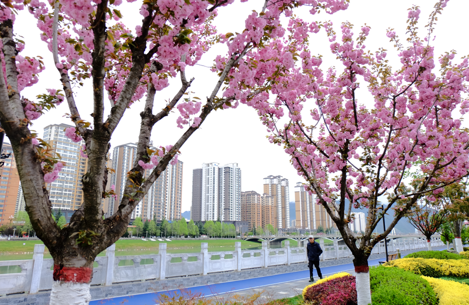 1775716235507926.png 22.png