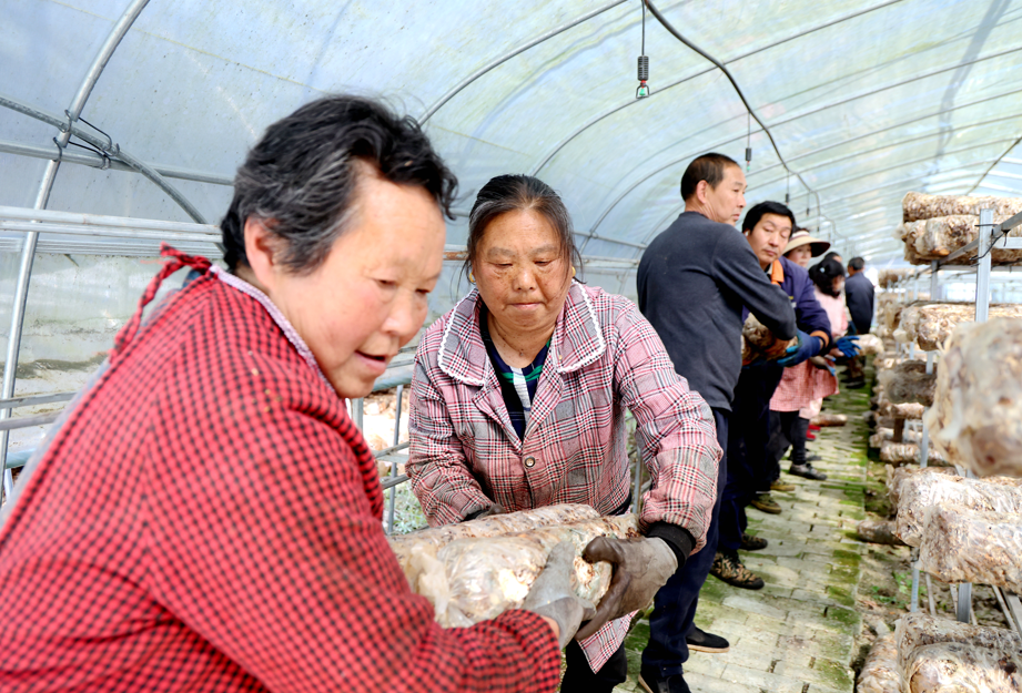 1775716457649529.png 11.png