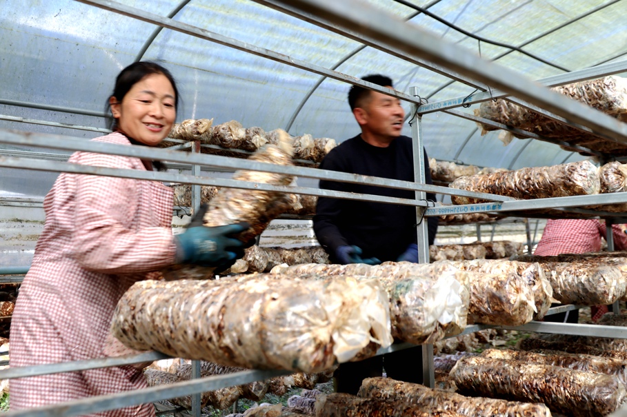 1775716464334388.png 22.png