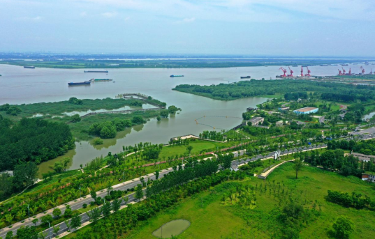 1775716581220071.png 11.png