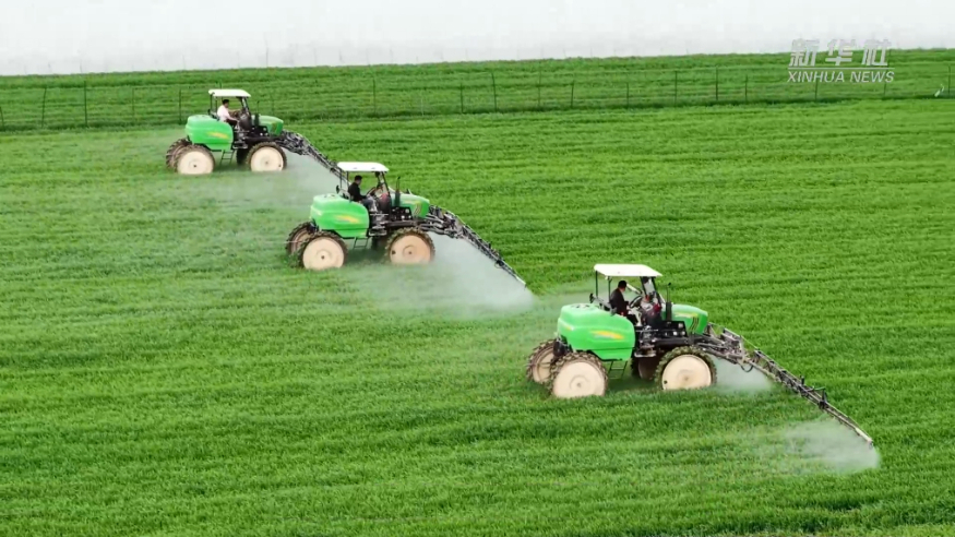 春耕一线观察丨种田“老把式”遇上“新科技”