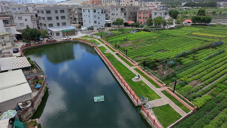 列屿镇宅后村人居环境焕新颜 (2).jpg