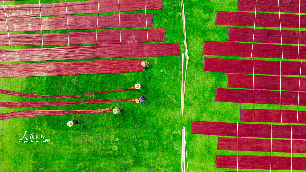 广西梧州：晾晒香云纱【2】