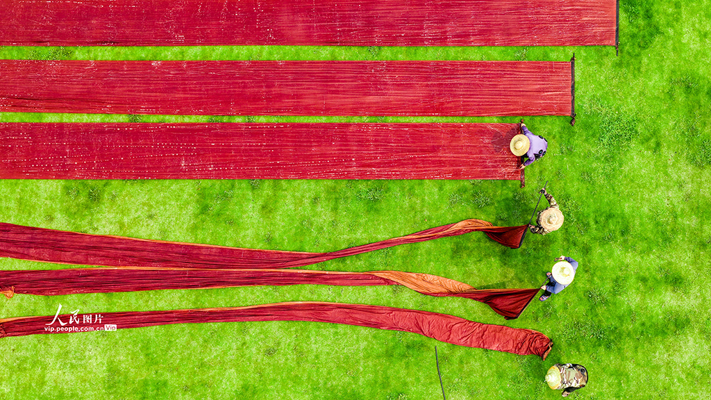 广西梧州：晾晒香云纱【5】