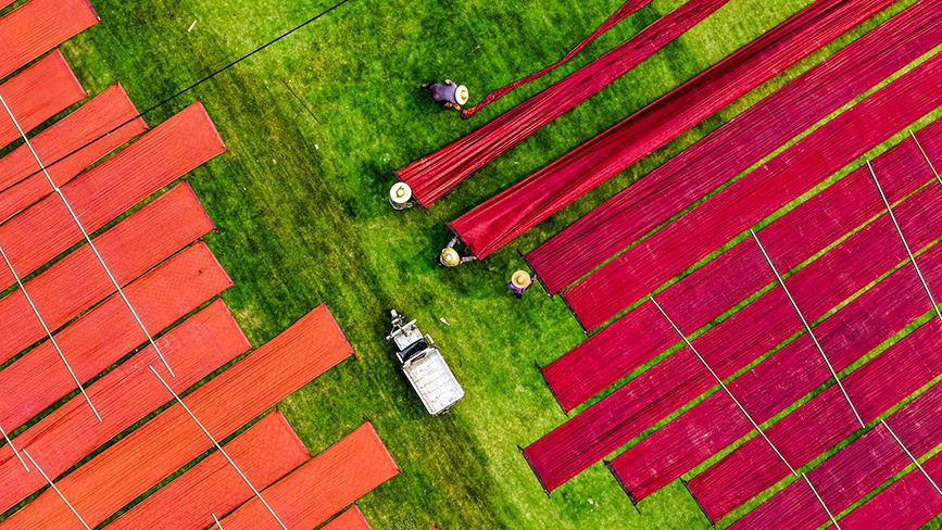 廣西梧州：晾曬香云紗