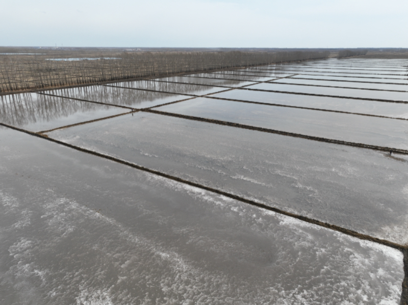 依安农场泡田作业 .jpg