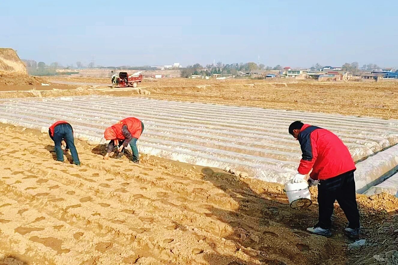 1776150876377581.jpg 照片2.jpg