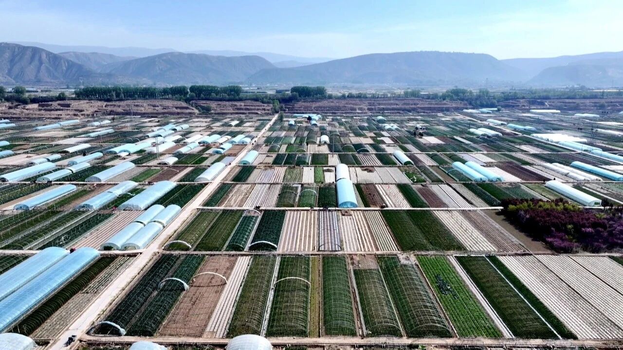 1776150880881518.jpg 照片3.jpg