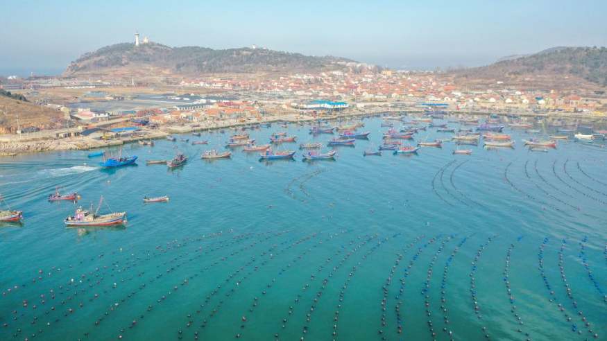 解码文化自信的城市样本丨山海毓秀起宏图——解码“仙境海岸”烟台的文化自信样本