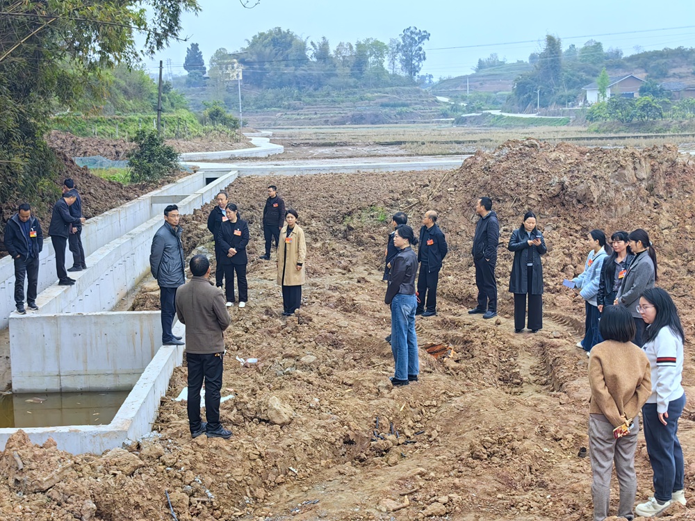 代表们实地察看项目建设现场.jpg