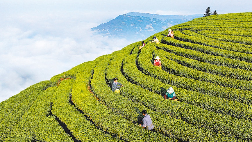 兴业富民 乡村和美（在中国·看中国）
