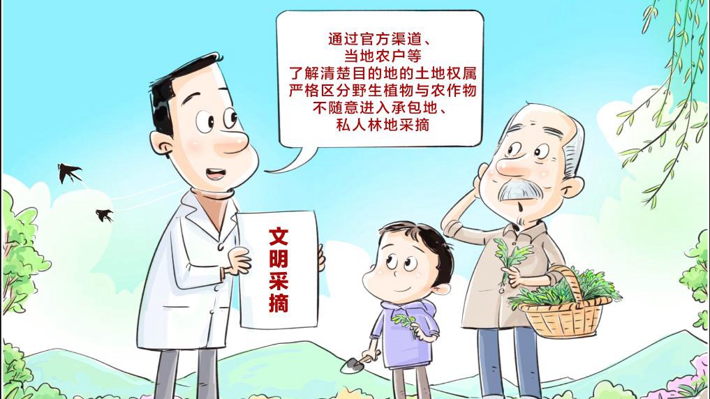 挖野菜上热搜？可别把素质也“挖”没了！