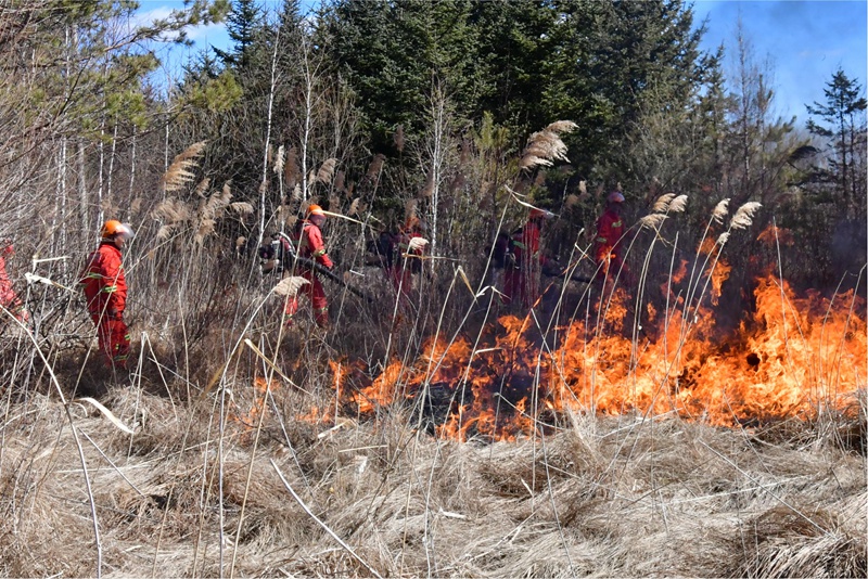 逊克农场有限公司演练现场 霍春旭摄.JPG