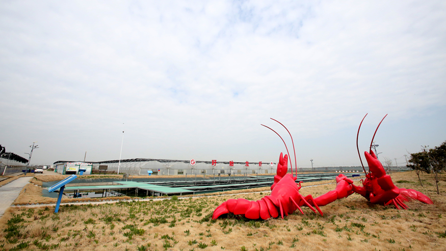 经济大省调研行丨在盱眙看小龙虾如何做成大产业