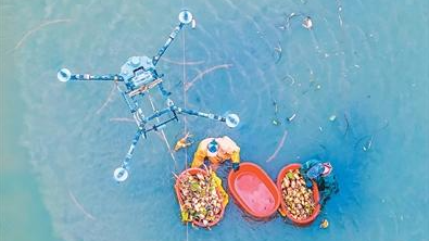 低空经济，飞得稳也要用得活