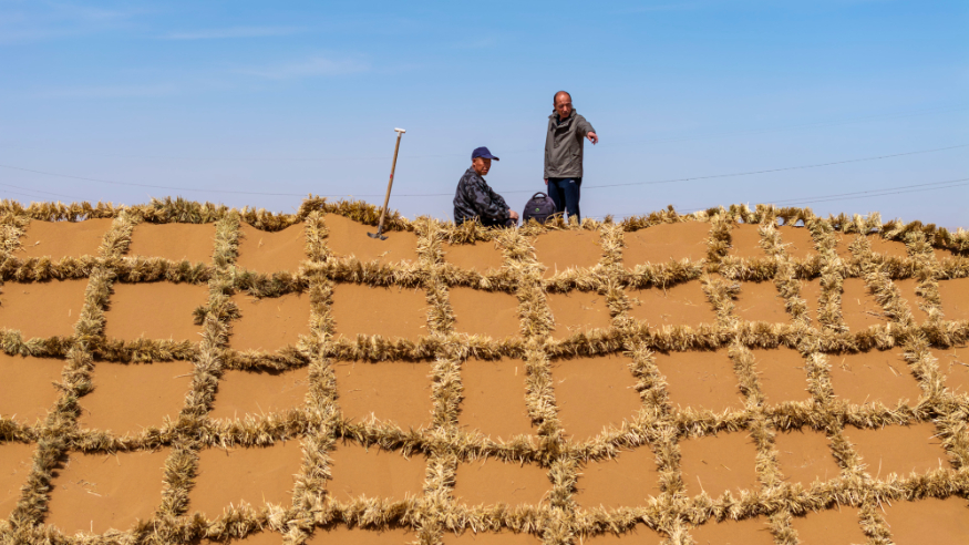 绿润丝路 沙海生金——全球荒漠化治理的中国智慧