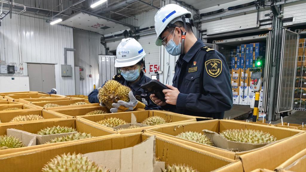 榴莲旺季迎“超级周末” 超6300吨进口鲜榴莲来了