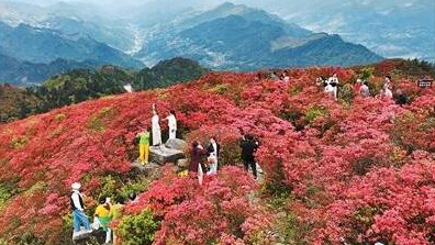 国内游市场将再迎出游高峰