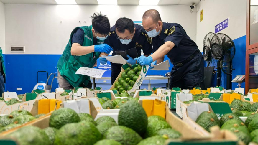 财经聚焦丨零关税助力非洲好物拥抱中国大市场
