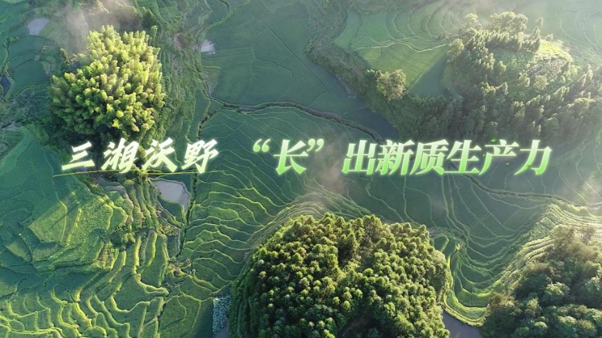 经济大省调研行丨三湘沃野“长”出新质生产力