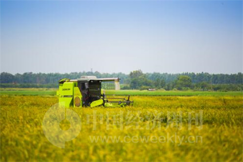 2025年度全国秋粮收购超3.38亿吨