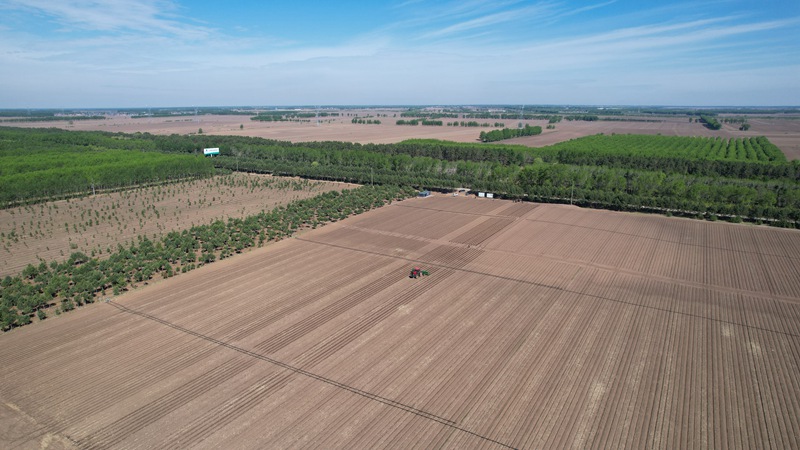 DJI_0291.JPG