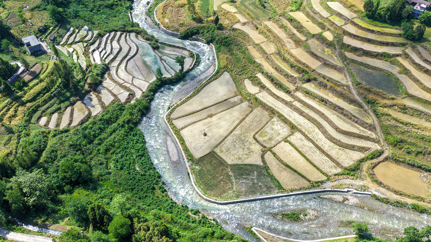 重庆黔江：“文物梯田”变身“生态粮仓”