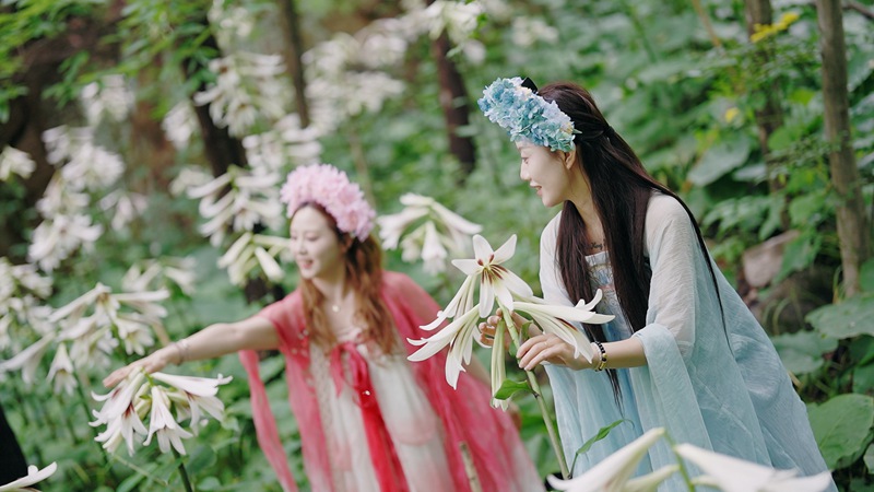 1779431000258683.jpg 游客在大叶百合花海拍照打卡 嵩宣供图.jpg