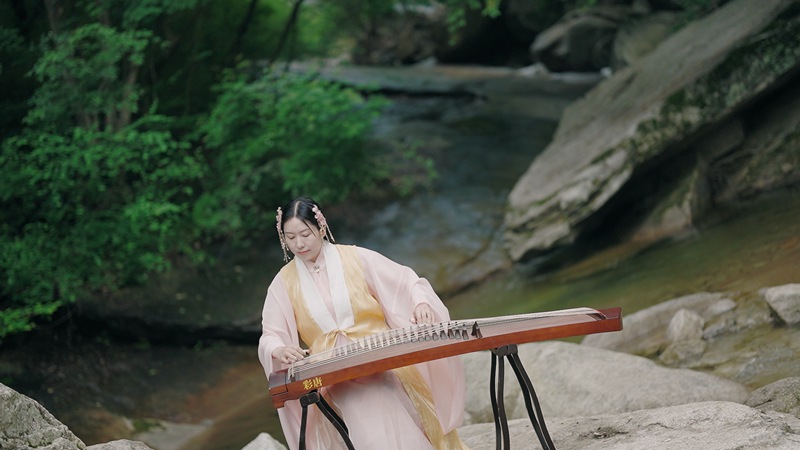 1779431010298228.jpg 林下音乐会 嵩宣供图.jpg