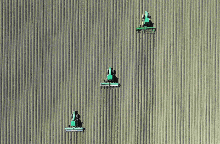 1779866457536295.png 11.png