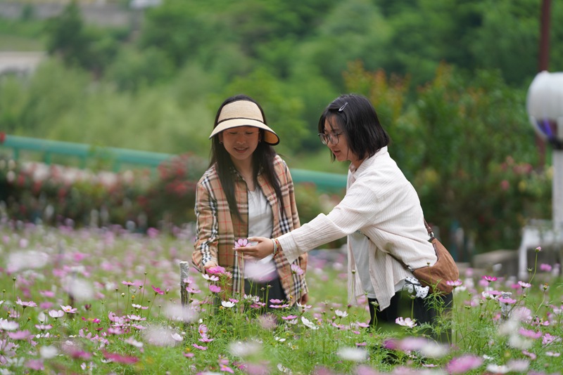 DSC00763_副本.jpg