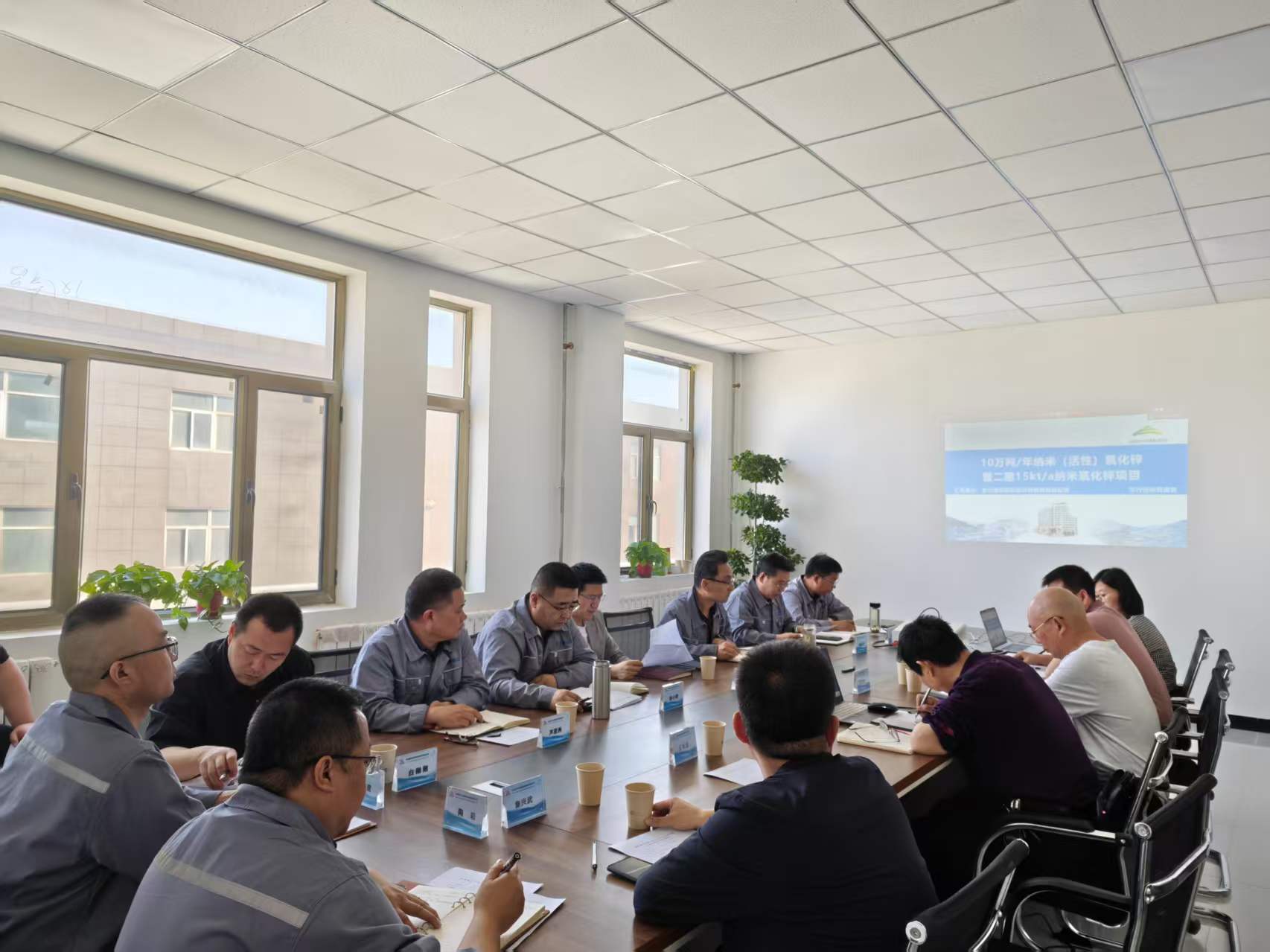 1780295378349679.jpg 1.5万吨纳米氧化锌项目评审会.jpg