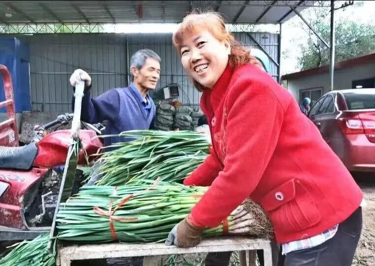 图片2_副本.jpg