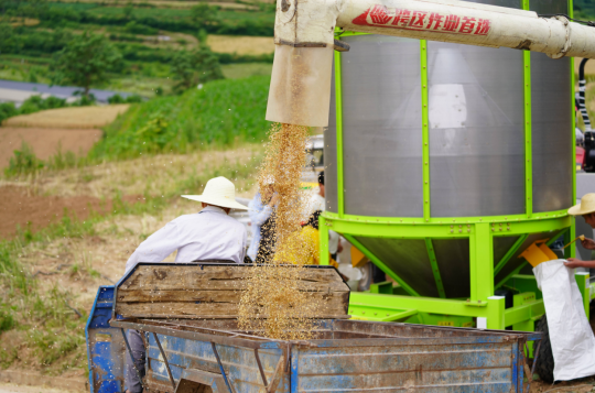 33.png