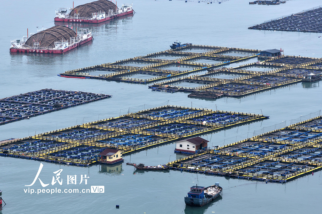 福建连江：“海上钢铁侠”织就“福海粮仓”
