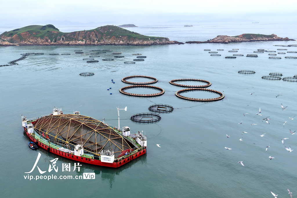 福建连江：“海上钢铁侠”织就“福海粮仓”【6】