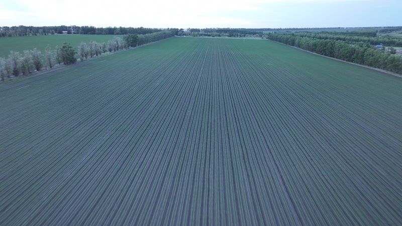 1781683289915375.jpg DJI_20260611194658_0217_D.JPG