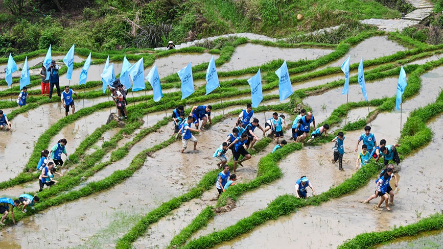 浙江苍南：云上梯田竞速忙 文旅融合兴畲乡