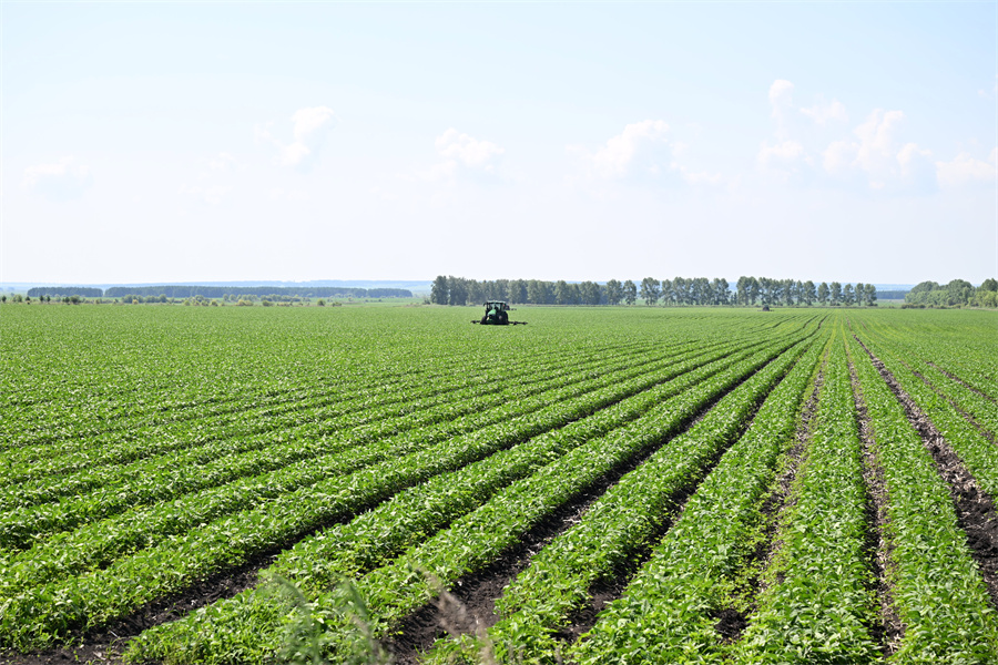1782458595844695.jpg DSC_7291.JPG