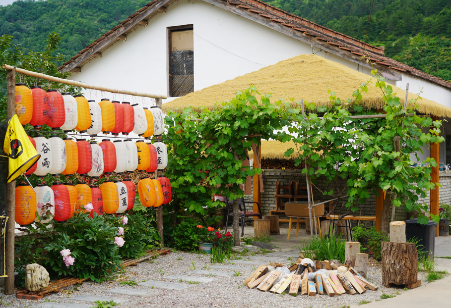 1782460103700172.png 22.png