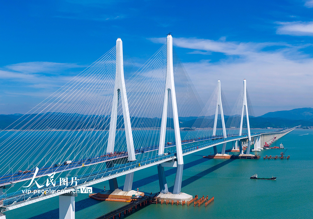 浙江宁波：市域铁路象山港跨海大桥建设正酣【8】