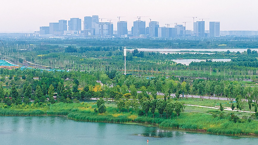 人民城市人民建 人民城市为人民（新时代画卷）