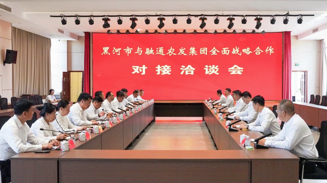 1784535868250053.jpg 对接洽谈会会议现场(闫瑜婧 摄)_副本.jpg
